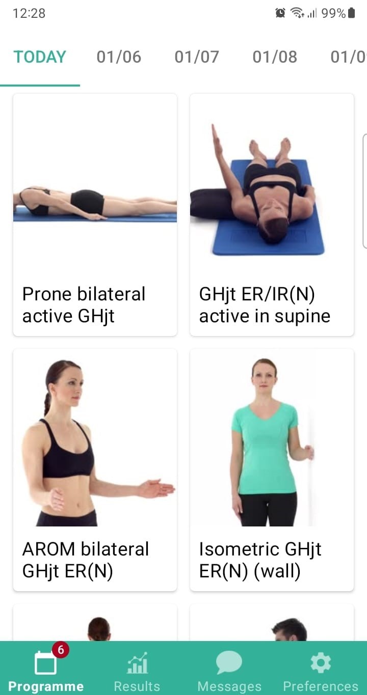 Online exercise program SLAP lesion