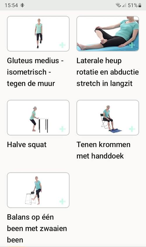 Online exercise program Hoffitis