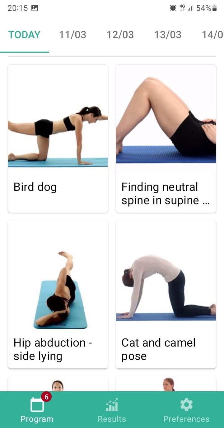 Online exercise program Pelvic instability