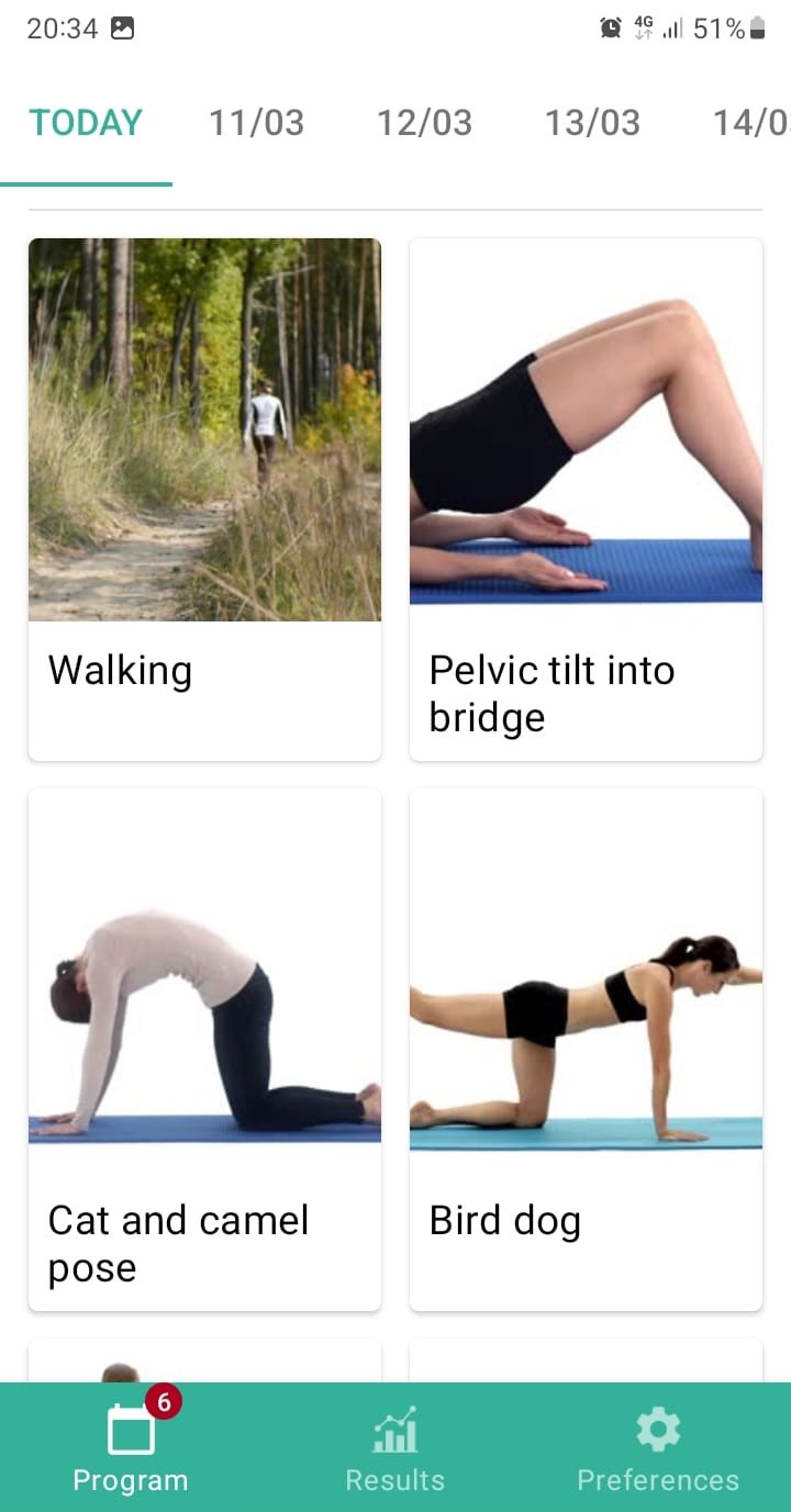 Online exercise program Lumbar instability