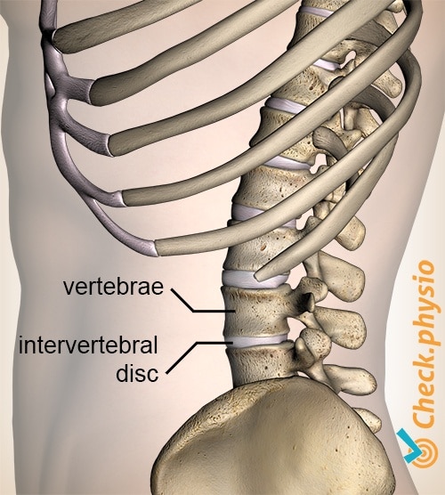 Proof That Unlock Your Spine Reviews Really Works