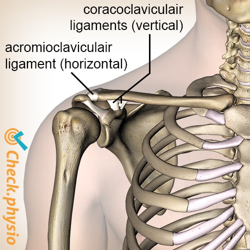 Acromioclavicular injury