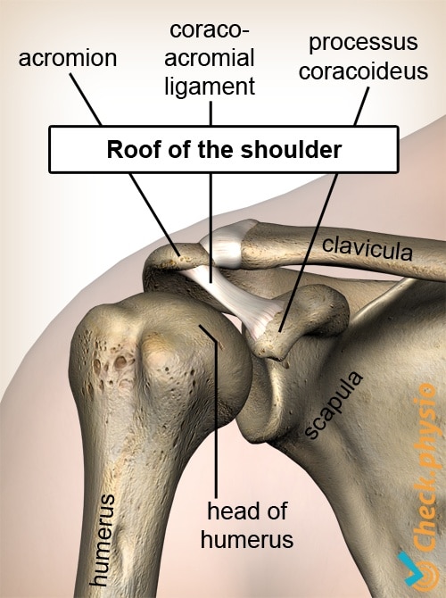 shoulder impingement diagnosis