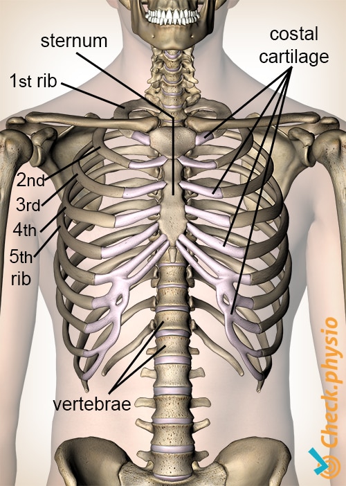 Inhalation Injury - Physiopedia