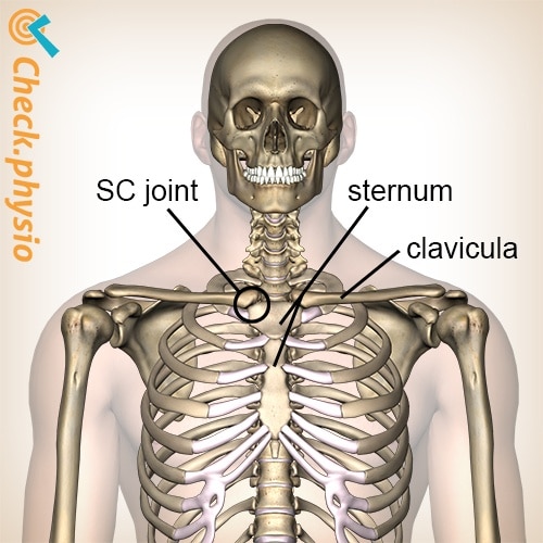 sternum location