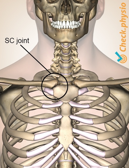 Sternoclavicular Injury Physio Check