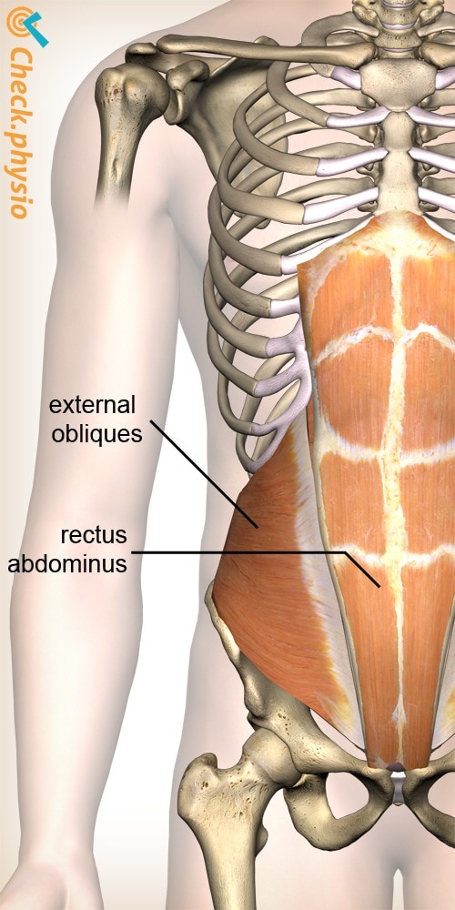 Back Pain Coming from Abs Rectus Abdominis