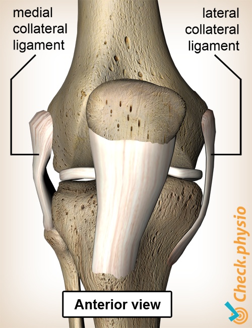 Lateral knee ligament injury | Physio Check